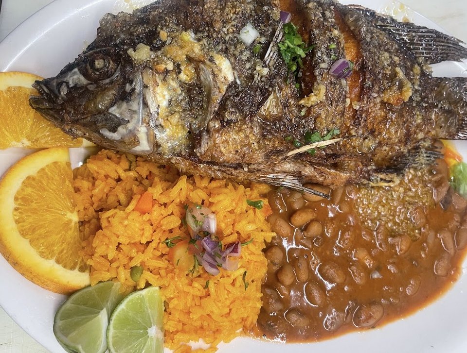 Tilapia